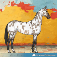 Horse Color:Brown Dun Near Leopard 