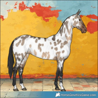Horse Color:Brown Dun Near Leopard 