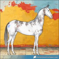 Horse Color:White Spotted Brown Mushroom Sabino Splash