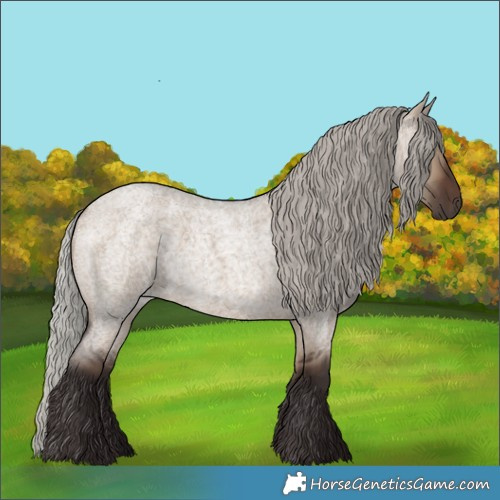 Horse Color:Silver Brown Roan Dun 