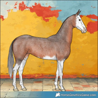 Horse Color:Bay Roan Splash 