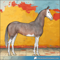Horse Color:Bay Roan Splash 