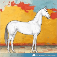 Horse Color:Liver Chestnut Sabino Splash Appaloosa Rabicano 