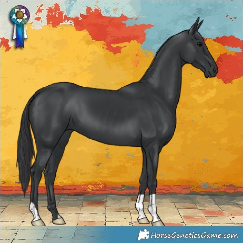 Horse Color:Black Mushroom 