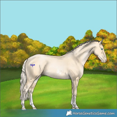 Horse Color:Palomino Pearl Sabino 