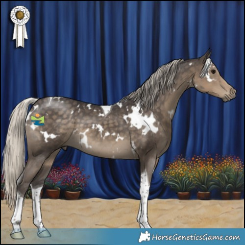 Horse Color:White Spotted Silver Smoky Black Tobiano 