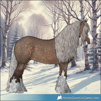 Horse Color:Silver Brown Dun 