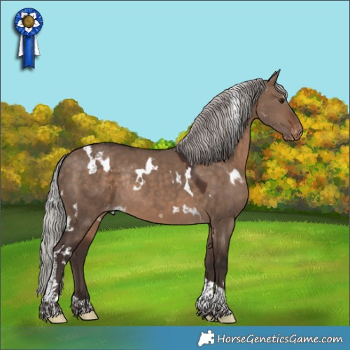 Horse Color:White Spotted Silver Brown Dun Tobiano Appaloosa Rabicano 
