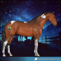 Horse Color:Bay Tobiano 