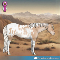 Horse Color:Silver Grullo Snowdrop Pearl Tobiano Blanket Rabicano 