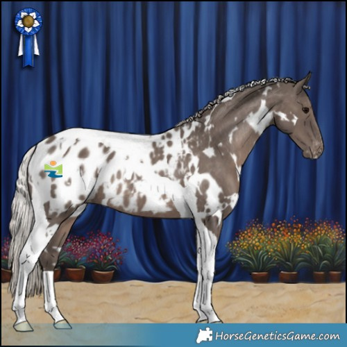 Horse Color:White Spotted Silver Black Tobiano Blanket Rabicano 