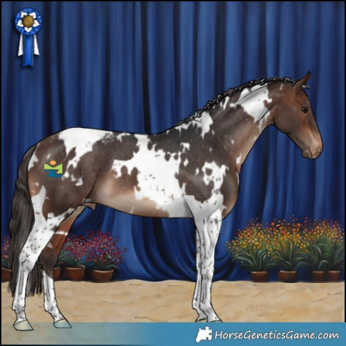 Horse Color:White Spotted Brown Tobiano Varnish Rabicano 