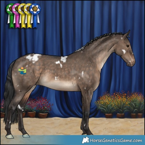 Horse Color:White Spotted Brown Dun Varnish Rabicano 
