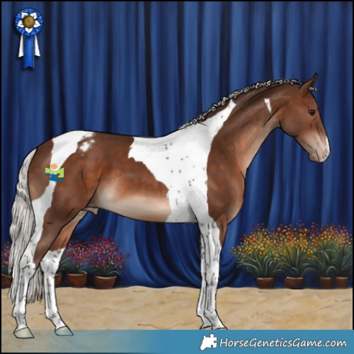 Horse Color:Silver Brown Tobiano Varnish 