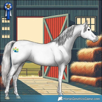 Horse Color:Gray Silver Black Tobiano Appaloosa Rabicano 