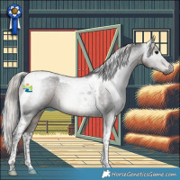Horse Color:Gray Silver Black Tobiano Appaloosa Rabicano 