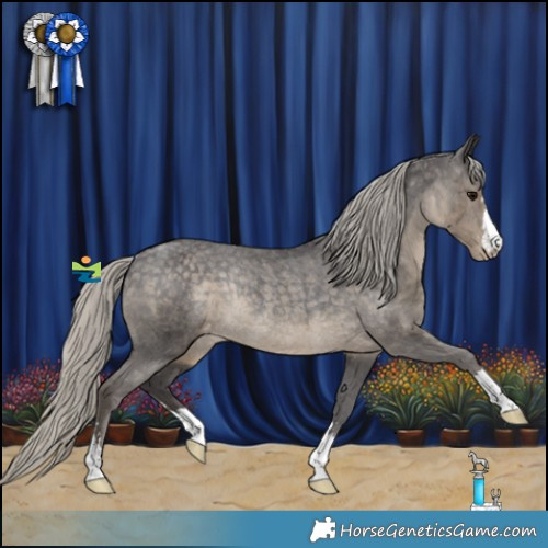 Horse Color:Silver Smoky Black Appaloosa Rabicano 