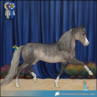 Horse Color:Silver Smoky Black Appaloosa Rabicano 
