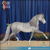 Horse Color:Silver Smoky Black Appaloosa Rabicano 