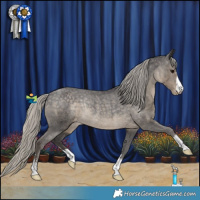 Horse Color:Silver Smoky Black Appaloosa Rabicano