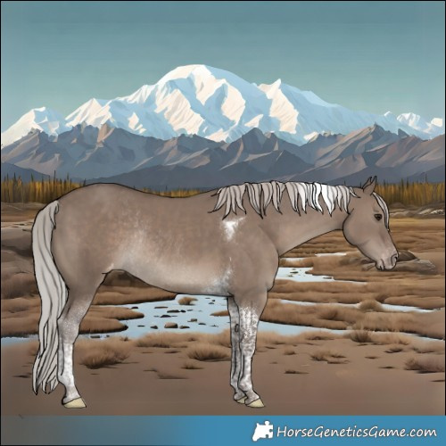 Horse Color:Silver Grullo Tobiano Varnish Rabicano 