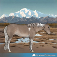 Horse Color:Silver Grullo Tobiano Varnish Rabicano 