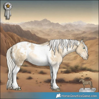 Horse Color:White Spotted Silver Buckskin Pearl Dun Tobiano Rabicano 