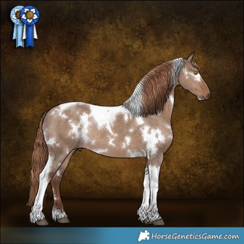 Horse Color:White Spotted Liver Red Dun Tobiano Rabicano 