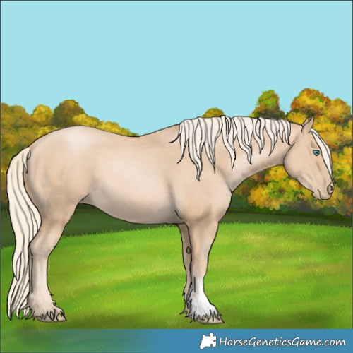Horse Color:Palomino Pearl Sabino