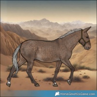 Horse Color:Silver Brown Dun 