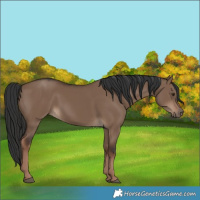 Horse Color:Liver Red Dun