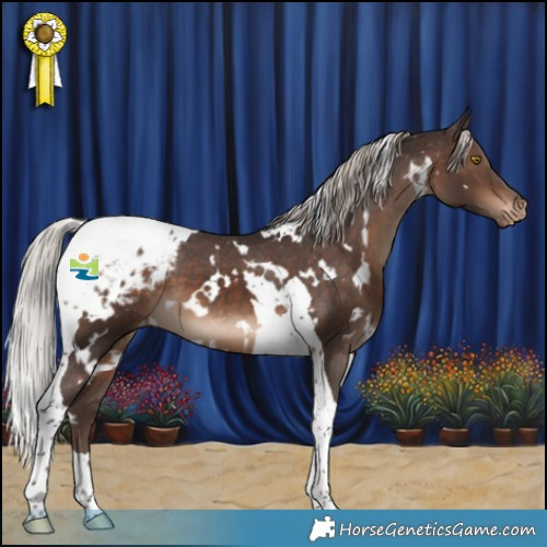 Horse Color:White Spotted Silver Brown Tobiano Blanket 