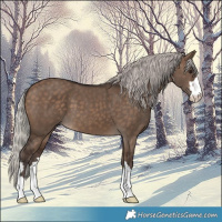 Horse Color:Silver Brown Dun 