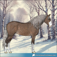 Horse Color:Silver Brown Dun 