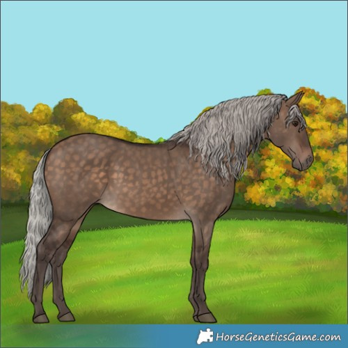 Horse Color:Silver Brown Dun 