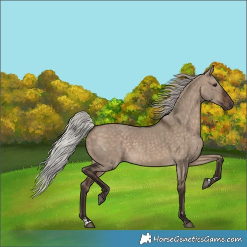 Horse Color:Silver Brown Dun 