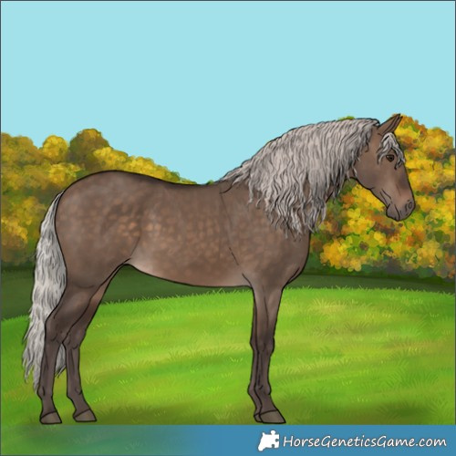 Horse Color:Silver Brown Dun