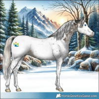 Horse Color:Gray White Spotted Silver Smoky Black Splash Tobiano Appaloosa 
