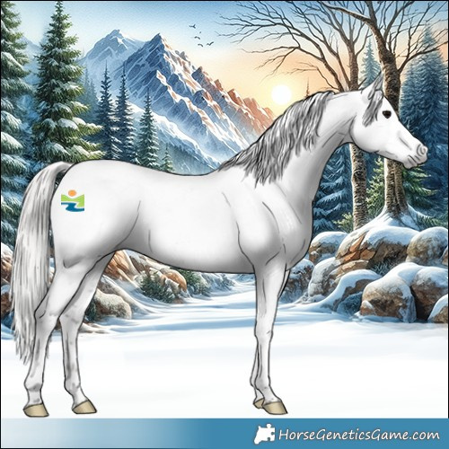 Horse Color:Gray White Spotted Silver Black Splash Tobiano Appaloosa 