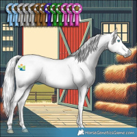 Horse Color:Gray Silver Smoky Black Splash Tobiano Appaloosa 