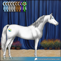 Horse Color:Gray Silver Smoky Black Splash Tobiano Appaloosa