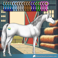 Horse Color:Gray Silver Smoky Black Splash Tobiano Appaloosa 