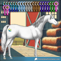 Horse Color:Gray Silver Smoky Black Splash Tobiano Snowflake Varnish