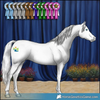 Horse Color:Gray Silver Smoky Black Splash Tobiano Appaloosa 