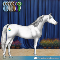 Horse Color:Gray Silver Smoky Black Splash Tobiano Appaloosa