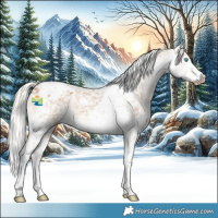 Horse Color:Gray Silver Smoky Creme Splash Tobiano Appaloosa 
