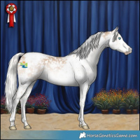 Horse Color:Gray Silver Smoky Creme Splash Tobiano Snowflake Varnish 