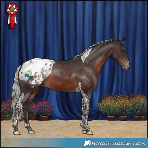 Horse Color:Silver Brown Tobiano Blanket 