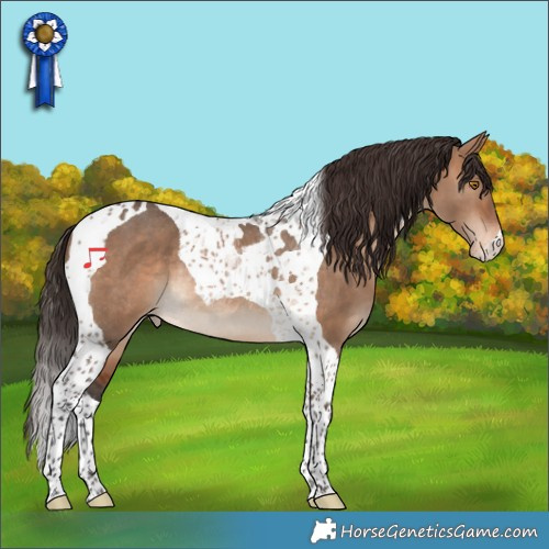 Horse Color:Bay Dun Tobiano Varnish Rabicano 