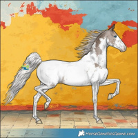 Horse Color:Silver Black Splash Tobiano Near Fewspot 